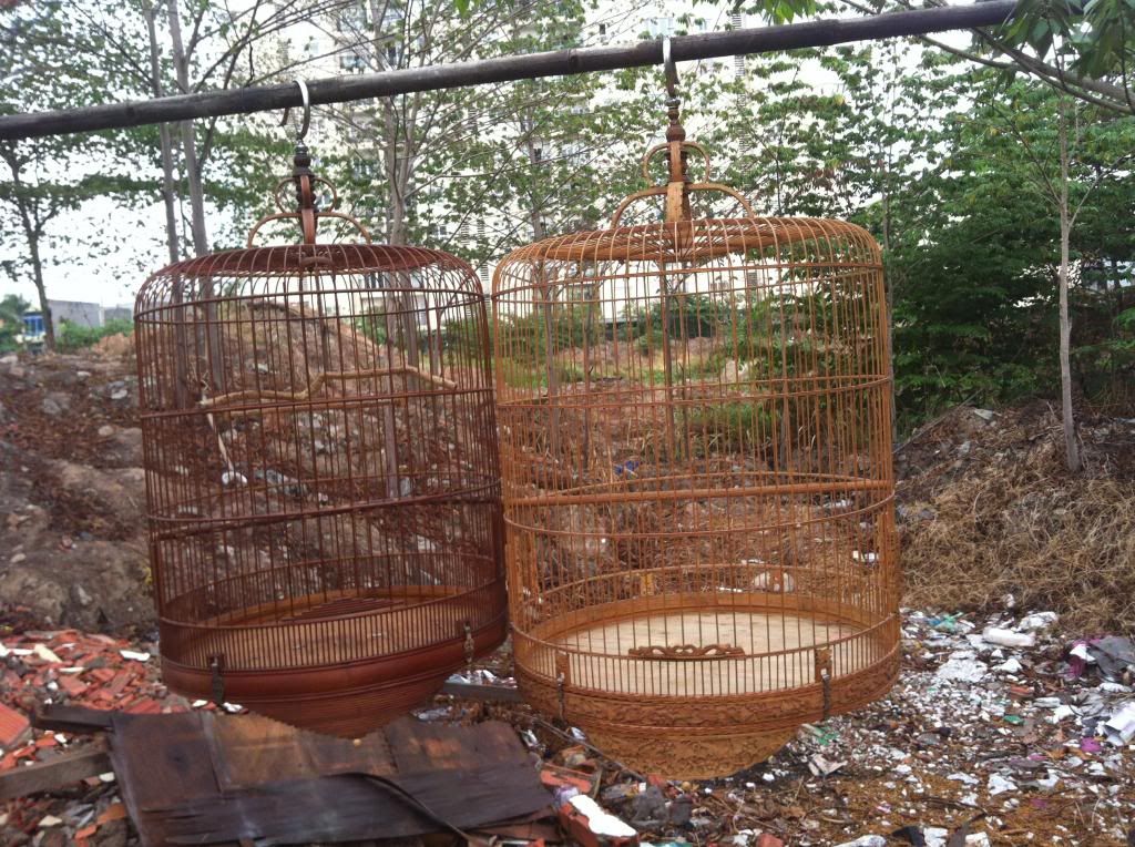 dư dùng bán bớt 2 lồng lửa lên nước đẹp!