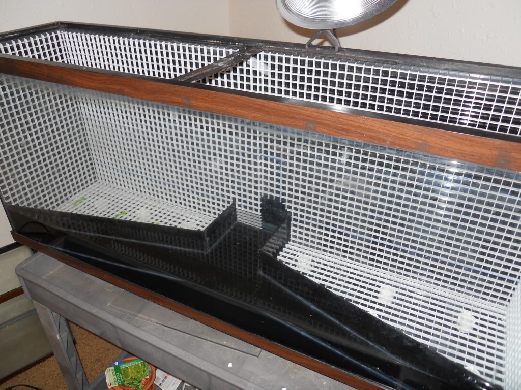 The Big Kahuna Tank (pic heavy) The Planted Tank Forum