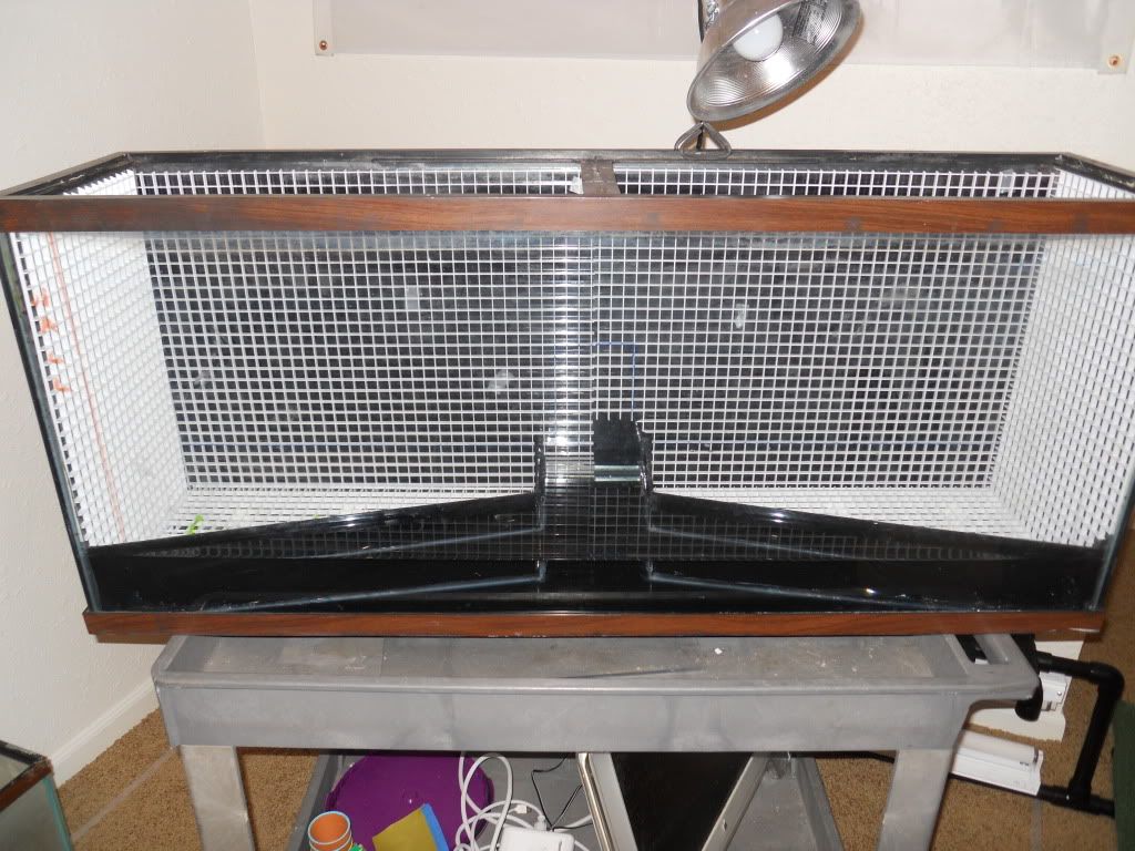 The Big Kahuna Tank (pic heavy) The Planted Tank Forum