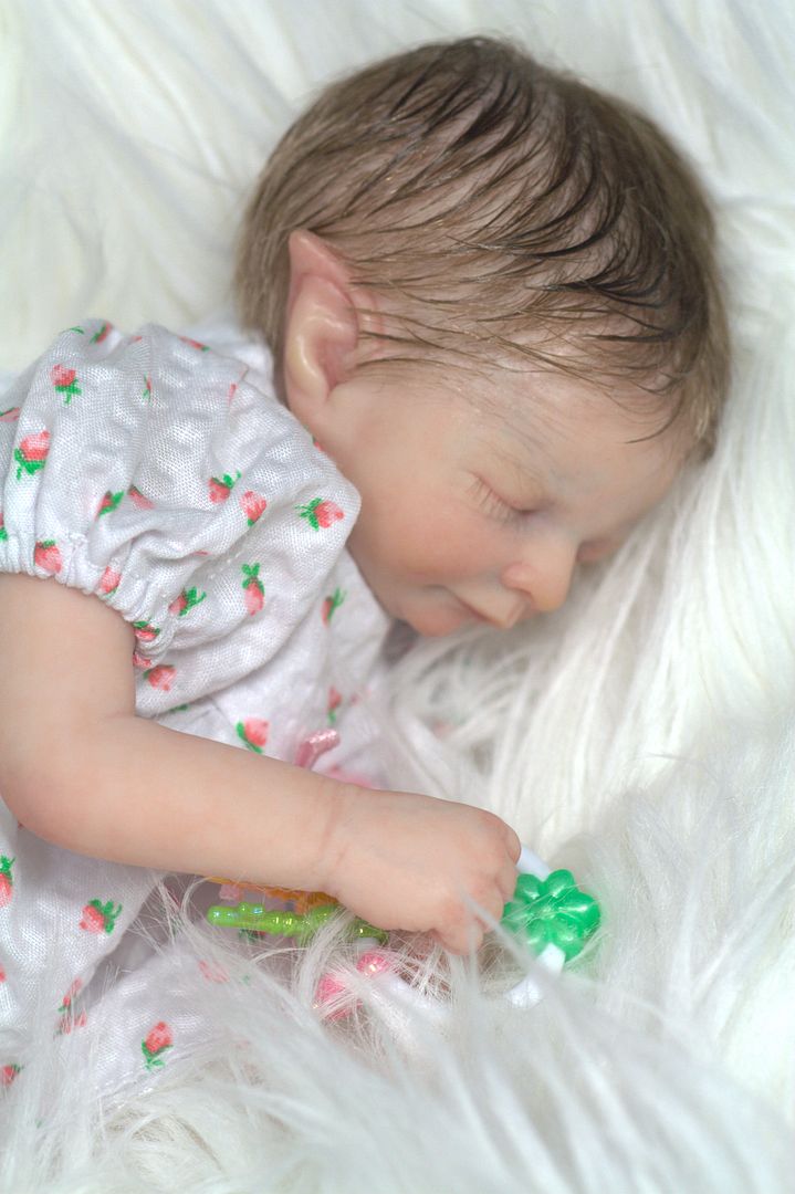 photo IMG_7455_zpsded0e48a.jpg