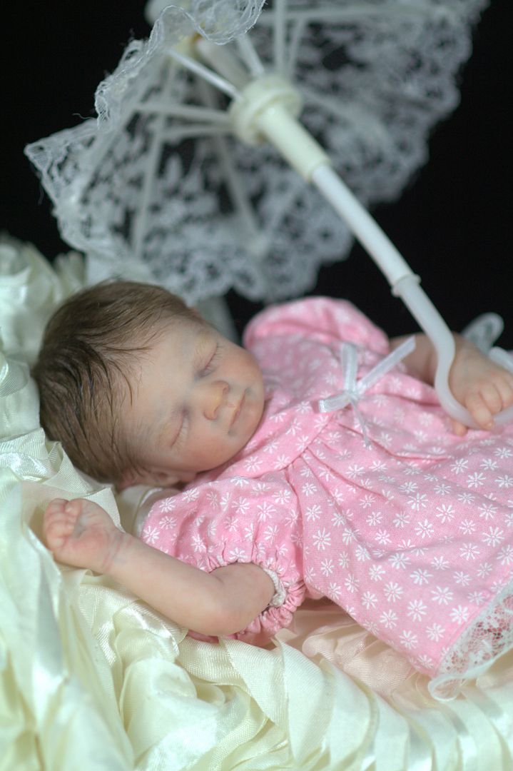 photo IMG_7554_zpsfd2f6b4e.jpg