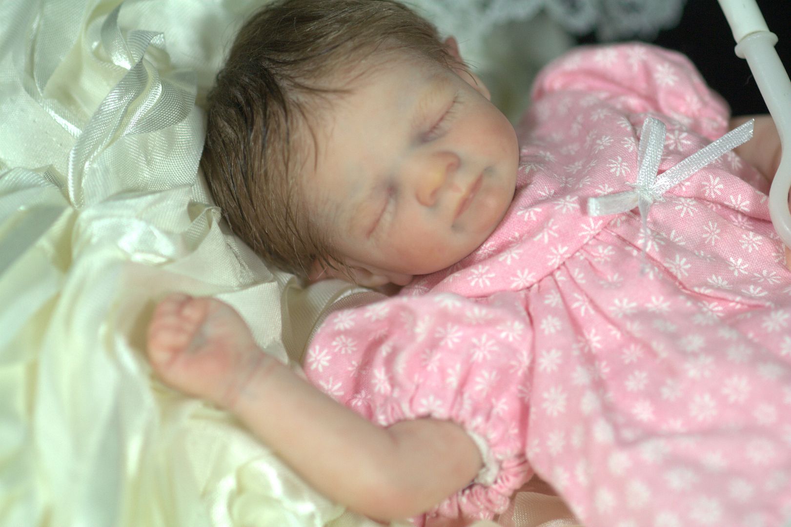 photo IMG_7556_zps580fbaa9.jpg