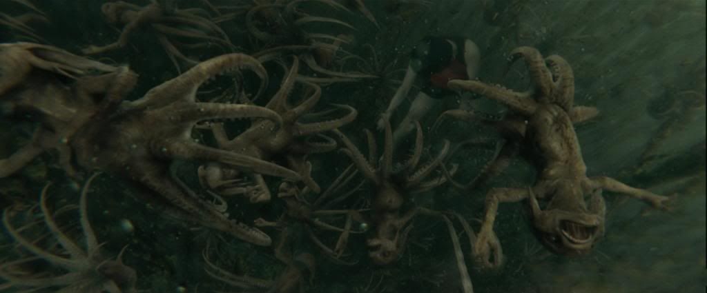 photo HarryPotter4-5.jpg