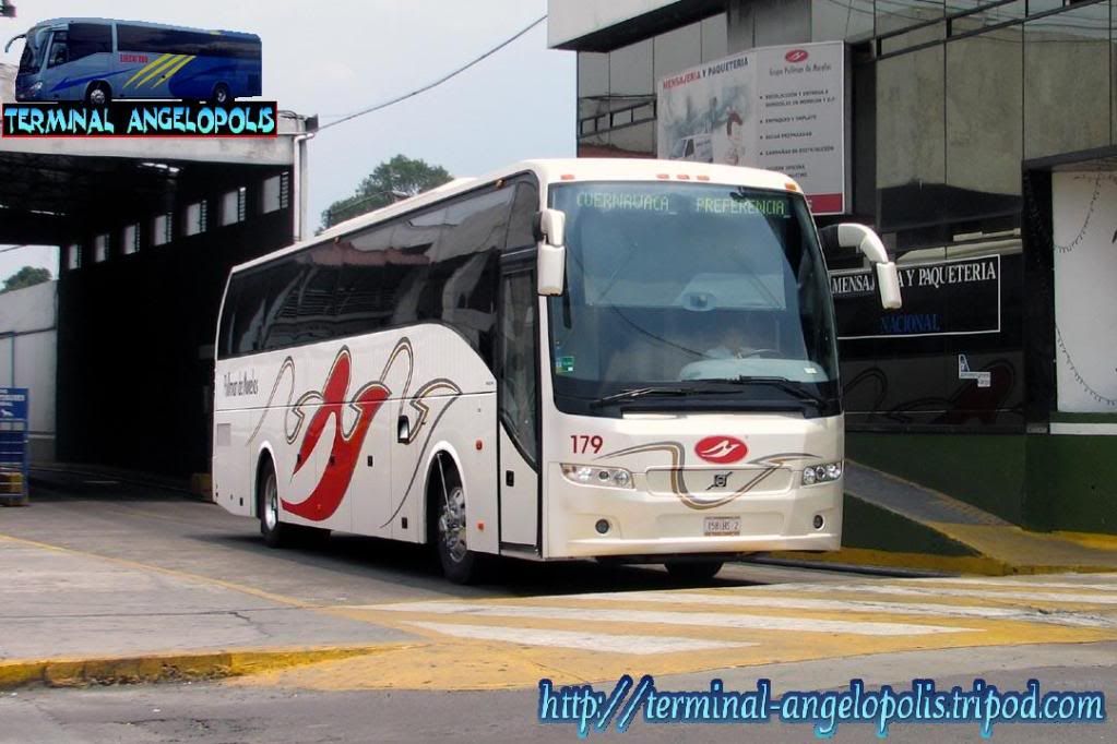 omnibus