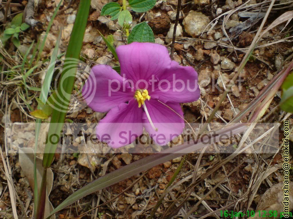 DSC04640.jpg