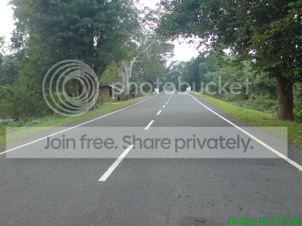 DSC05795.jpg