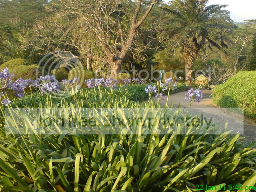DSC06007.jpg