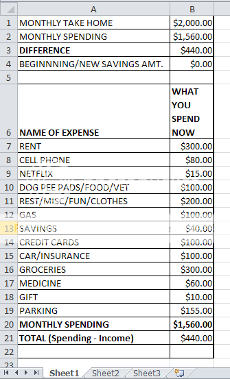 an excel spreadsheet showing a budget