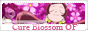 Cure Blossom [First and Official Italian Forum]