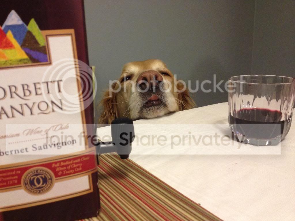 photo 6CA3DF50-90A4-45ED-87D1-7171D7B46916_zpsxjconirz.jpg