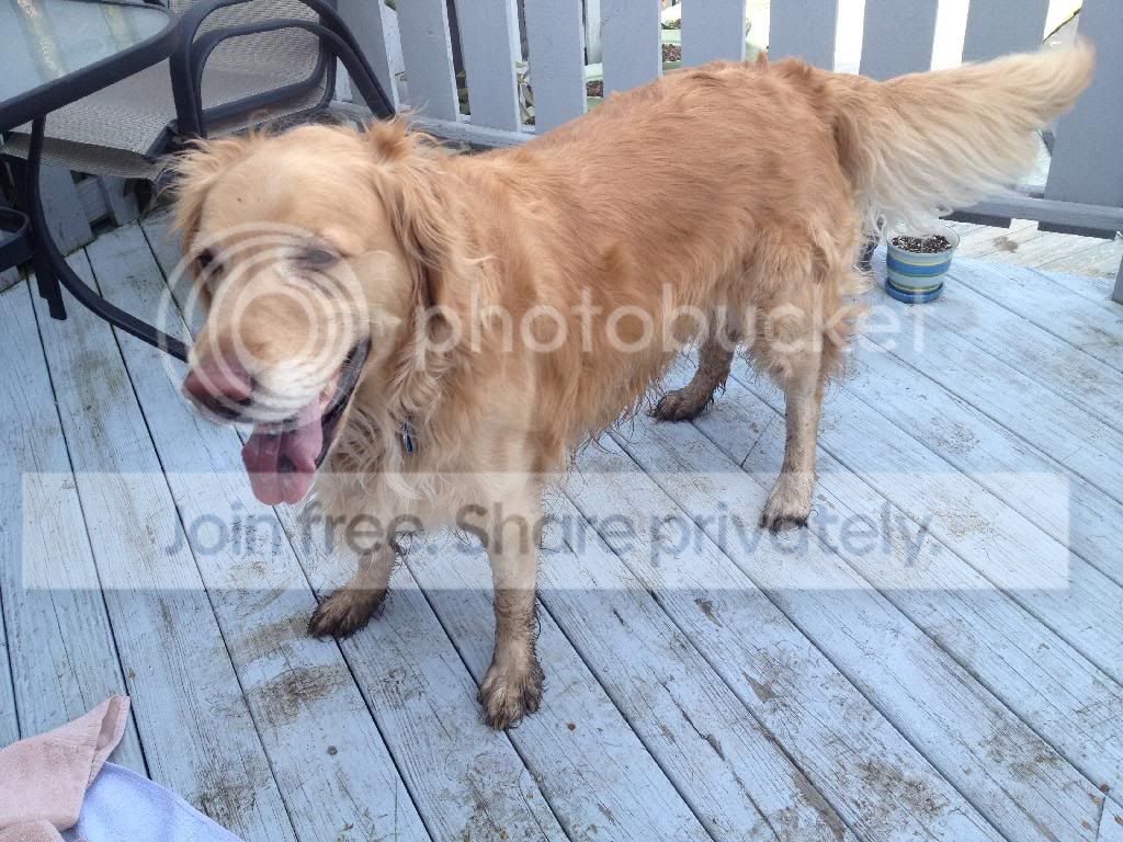 photo 7D22D37B-B073-4B77-9686-F5D0BB38A52C_zpsmjvmdekf.jpg