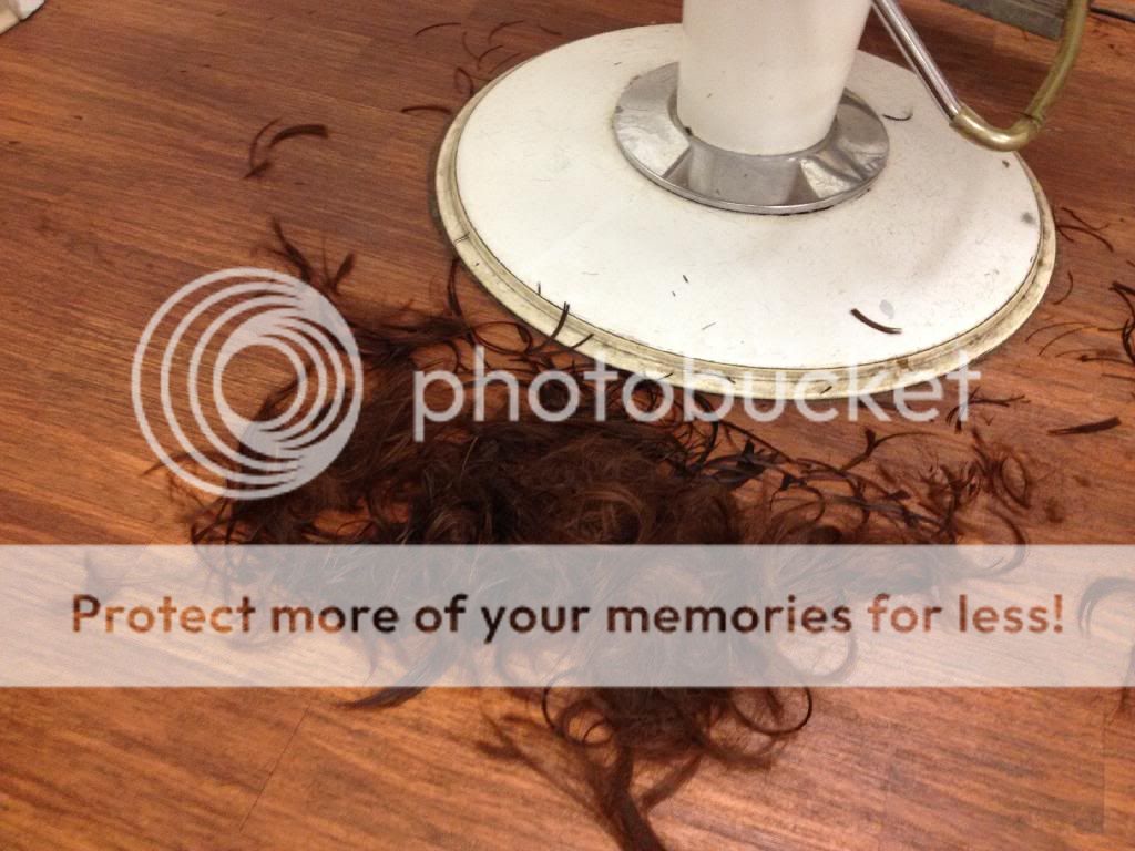 photo 964585C6-03F4-4DF6-9962-C49980A530DD_zpstewiiwq7.jpg