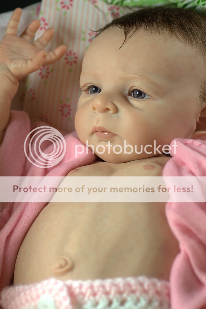 Precious Reborn Baby Girl from Olga Auers Amy Sculpt Ltd Ed Sold 